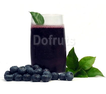 Pulpa de fruta - Arándano congelado IQF